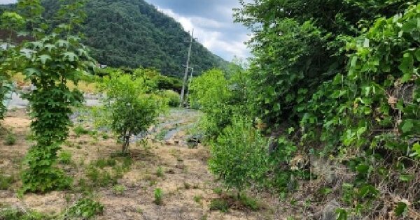 경기도 가평군 상면 덕현리 349-5  미지정 경매 물건 이미지