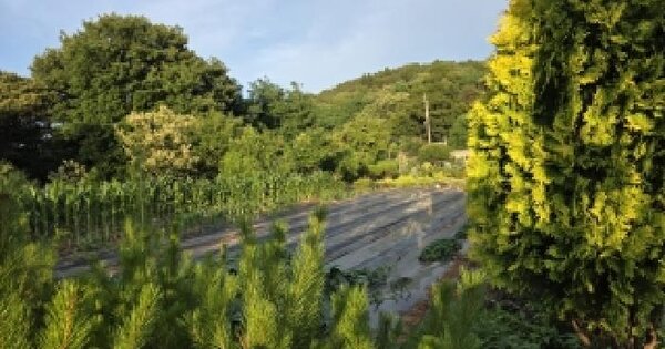 경기도 화성시 만세구 마도면 해문리 317-3  미지정 경매 물건 이미지