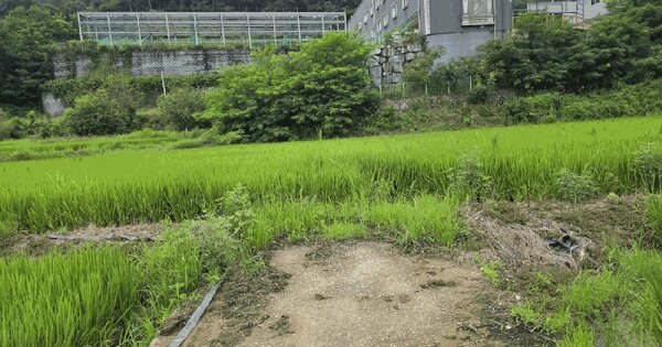 경상북도 성주군 월항면 대산리 879-1 전 경매 물건 이미지