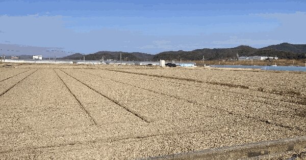 경상남도 함안군 가야읍 도항리 1392-2 답 경매 물건 이미지