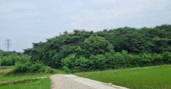 전북특별자치도 남원시 사매면 대율리 산115  미지정 경매 물건 이미지
