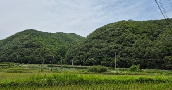 경상북도 경주시 안강읍 강교리 산194  미지정 경매 물건 이미지
