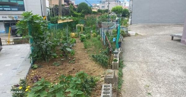 경상남도 거제시 고현동 855-4  미지정 경매 물건 이미지
