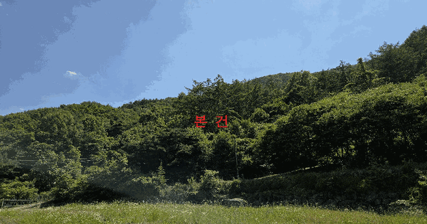 대구광역시 달성군 가창면 대일리 산61-2 임야 경매 물건 이미지