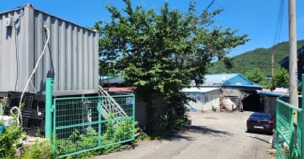 경기도 양주시 율정동 61  미지정 경매 물건 이미지