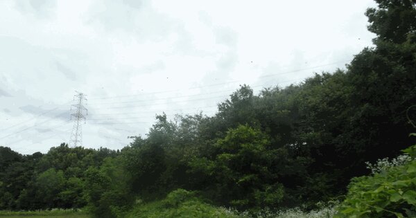 충청남도 논산시 상월면 대우리 산16-7  미지정 경매 물건 이미지