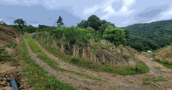 세종특별자치시  장군면 금암리 391-36  미지정 경매 물건 이미지