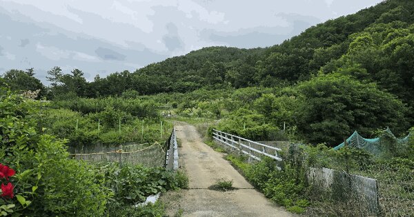 울산광역시 중구 다운동 산171-3  미지정 경매 물건 이미지