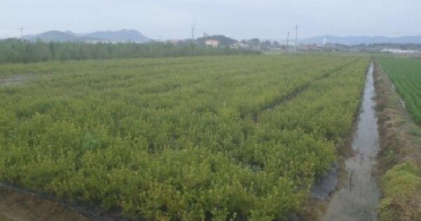 전북특별자치도 완주군 삼례읍 석전리 87-6  미지정 경매 물건 이미지
