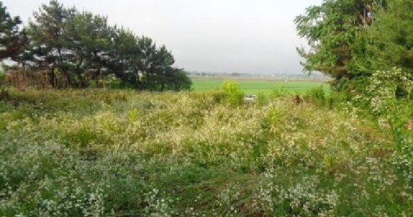 전북특별자치도 김제시 봉남면 용신리 559-3  미지정 경매 물건 이미지
