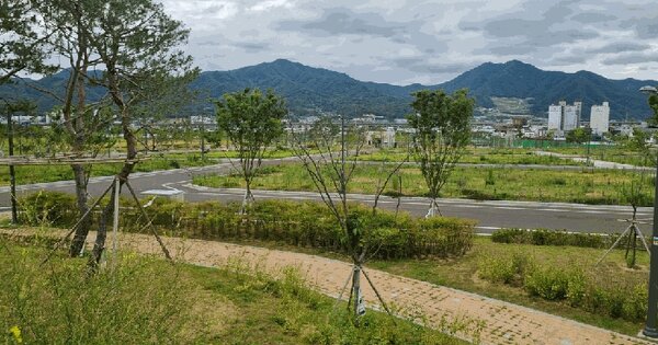 경상북도 칠곡군 북삼읍 율리 산11  미지정 경매 물건 이미지