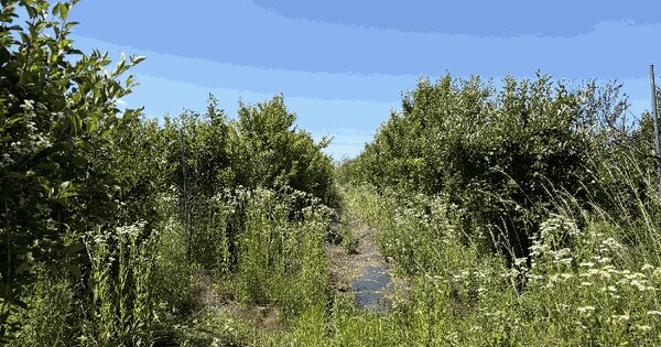 경기도 고양시 일산서구 구산동 1840  미지정 경매 물건 이미지