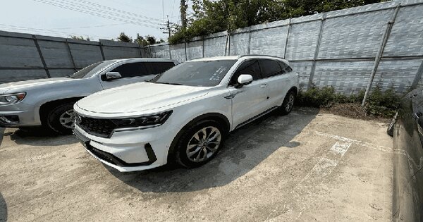쏘렌토 등록번호 : 151누7577 미지정 경매 물건 이미지