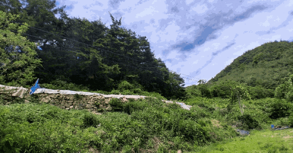 경상남도 창녕군 창녕읍 옥천리 산304-2 임야 경매 물건 이미지