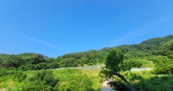 강원특별자치도 평창군 평창읍 입탄리 산14-2  미지정 경매 물건 이미지