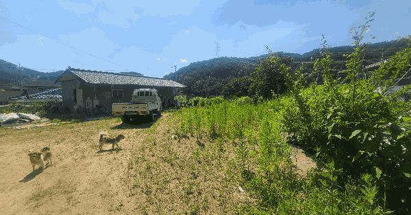 대전광역시 서구 산직동 392-14 전 경매 물건 이미지