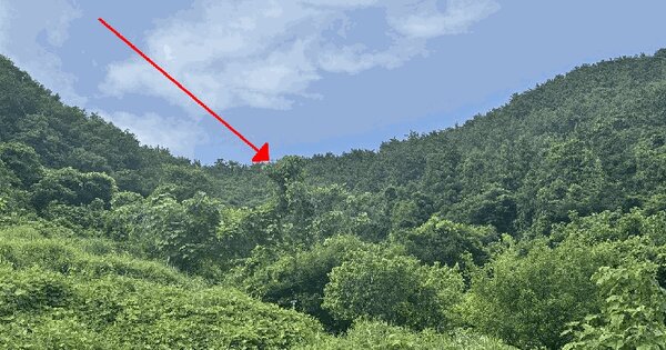 경상남도 통영시 산양읍 미남리 산166-2  미지정 경매 물건 이미지