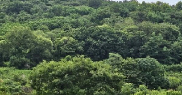 경상남도 창원시 의창구 소답동 692  미지정 경매 물건 이미지