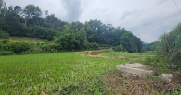 충청북도 옥천군 동이면 지양리 803  미지정 경매 물건 이미지