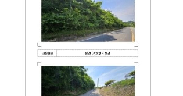 전라남도 영암군 금정면 세류리 산117-1  미지정 경매 물건 이미지