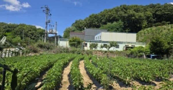 충청북도 음성군 금왕읍 용계리 374-10  미지정 경매 물건 이미지