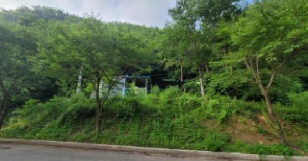 강원특별자치도 영월군 한반도면 후탄리 503-2  미지정 경매 물건 이미지