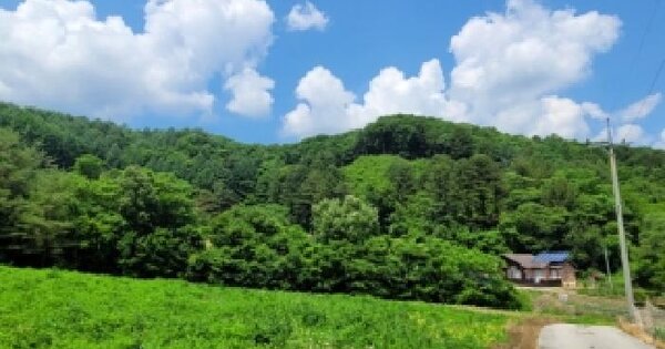 강원특별자치도 평창군 봉평면 무이리 403-5  미지정 경매 물건 이미지