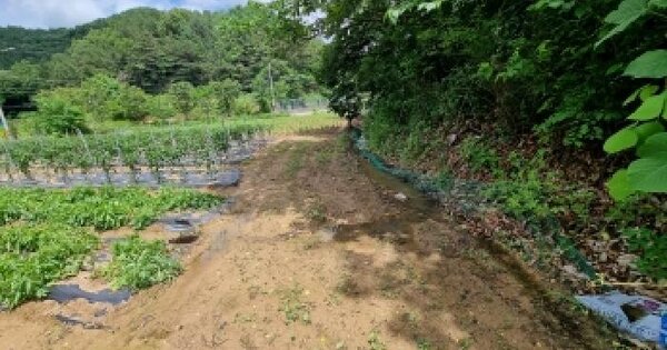 충청남도 금산군 제원면 동곡리 239  미지정 경매 물건 이미지