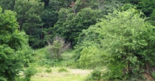 경상남도 밀양시 초동면 덕산리 139  미지정 경매 물건 이미지