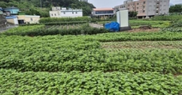 경상남도 고성군 고성읍 수남리 528-40  미지정 경매 물건 이미지