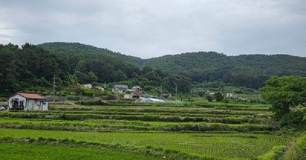 경상남도 남해군 삼동면 동천리 891-1  미지정 경매 물건 이미지