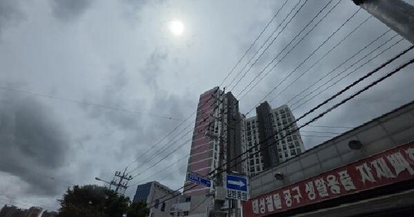 경상북도 구미시 신평동 150-61 구미신평동지엘리베라움  5층509호 미지정 경매 물건 이미지