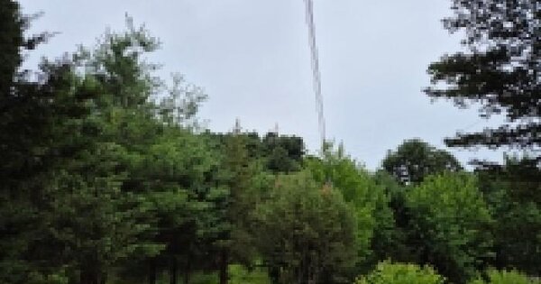 경기도 포천시 신북면 금동리 산95  미지정 경매 물건 이미지