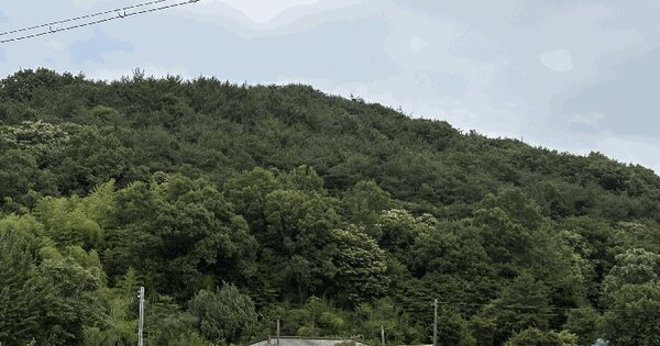 충청남도 당진시 정미면 천의리 산150-1  미지정 경매 물건 이미지