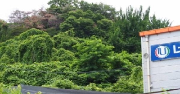 경상남도 밀양시 상남면 마산리 산73-1  미지정 경매 물건 이미지