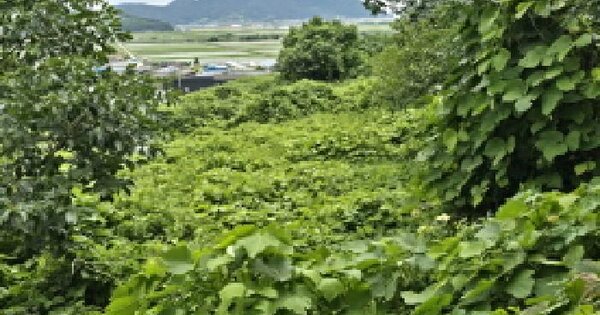 전라남도 장흥군 대덕읍 잠두리 298  미지정 경매 물건 이미지