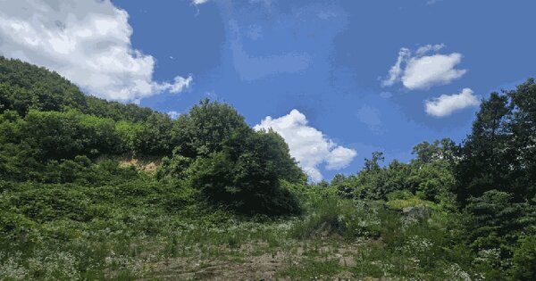 경기도 안성시 삼죽면 진촌리 464-42  미지정 경매 물건 이미지