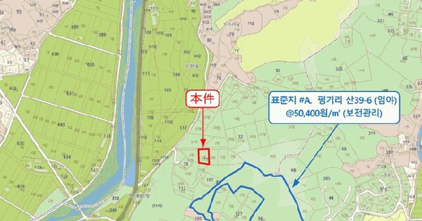 세종특별자치시  장군면 평기리 117-5  미지정 경매 물건 이미지