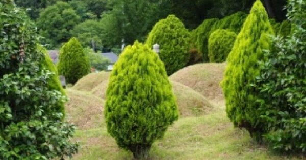 경상남도 밀양시 무안면 양효리 398  미지정 경매 물건 이미지