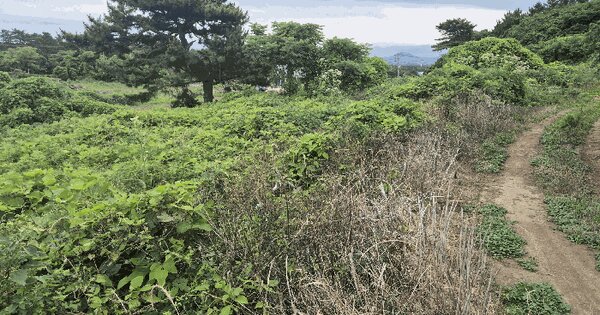 제주특별자치도 제주시 조천읍 북촌리 1544  미지정 경매 물건 이미지
