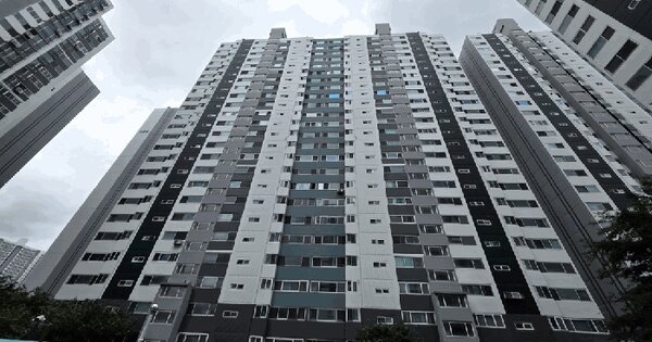 부산광역시 사하구 다대동 120-10 삼환아파트 205동 17층1704호 미지정 경매 물건 이미지