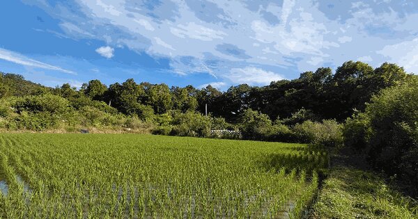 전라남도 담양군 봉산면 기곡리 산129-3  미지정 경매 물건 이미지