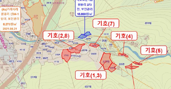 충청북도 괴산군 연풍면 원풍리 산28  미지정 경매 물건 이미지