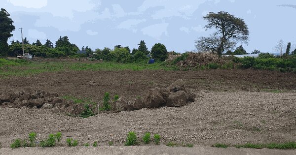 제주특별자치도 서귀포시 표선면 표선리 379-2  미지정 경매 물건 이미지