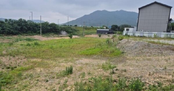 경상북도 경주시 건천읍 모량리 141-8  미지정 경매 물건 이미지