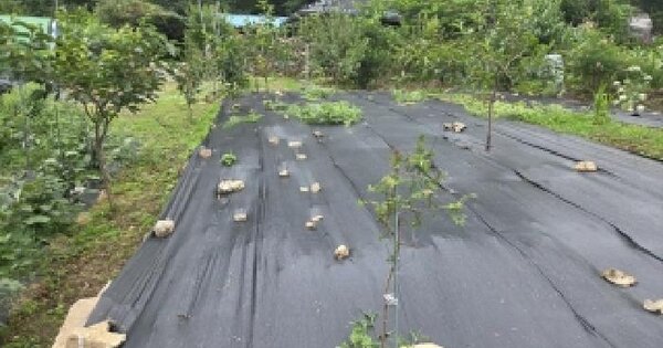 전라남도 구례군 산동면 계천리 773-1  미지정 경매 물건 이미지