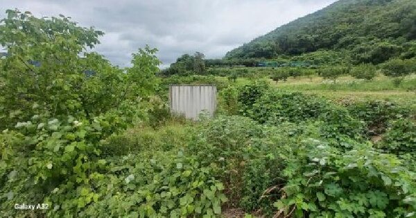 경상남도 거제시 연초면 연사리 600  미지정 경매 물건 이미지