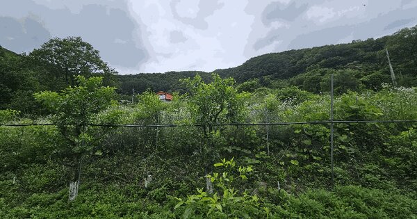 충청북도 보은군 마로면 오천리 664-1  미지정 경매 물건 이미지