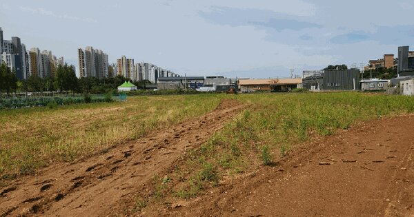 인천광역시 중구 중산동 913-3  미지정 경매 물건 이미지