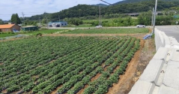 충청남도 보령시 주교면 주교리 43  미지정 경매 물건 이미지